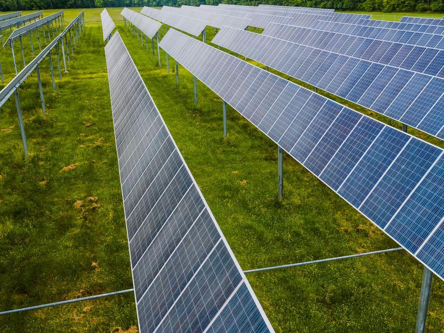 Modulreihen einer Freifl&auml;chen-Solaranlage &uuml;ber einer gem&auml;hten Gr&uuml;nfl&auml;che